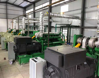 云南某发电项目配乐竞平台,乐竞(中国)一站式服务平台
800kw/10.5kv 高压发电机