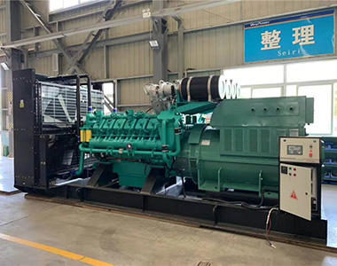 乐竞平台,乐竞(中国)一站式服务平台
2000KW /10.5KV高压发电机用于国内某数据中心项目