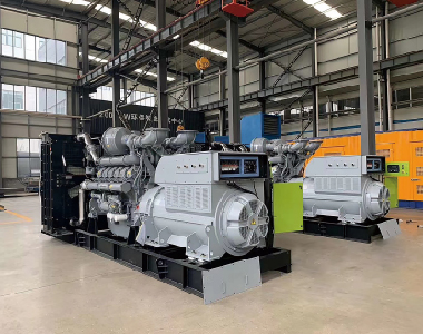 欧洲出口项目（帕金斯配乐竞平台,乐竞(中国)一站式服务平台
2台1250KW6300V高压发电机)